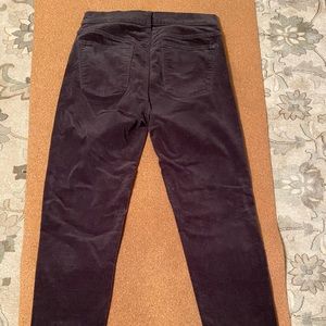 J C CREW Grey velvet pants